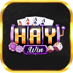 25 1759937276805 slide logo haywin